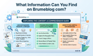 Brumeblog com